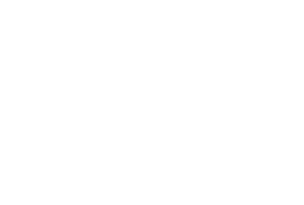 HUDSON ESSENTIALS